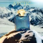 Arctic U parfumovaná voda 100 ml