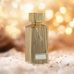 Envy Gold W parfumovaná voda 100 ml
