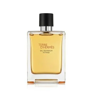 Hermes Terre d’Hermès Intense Intense plniteľná parfumovaná voda pre mužov