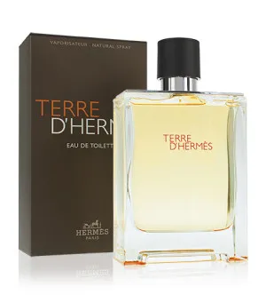 Hermes Terre d'Hermes toaletná voda pre mužov 100 ml