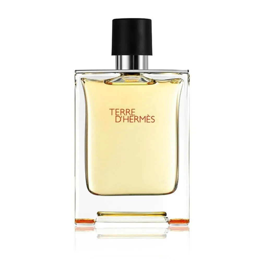 Terre d'Hermes Parfum parfum pre mužov 75 ml