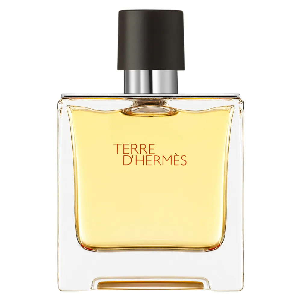 Terre d'Hermes Parfum parfum pre mužov 75 ml