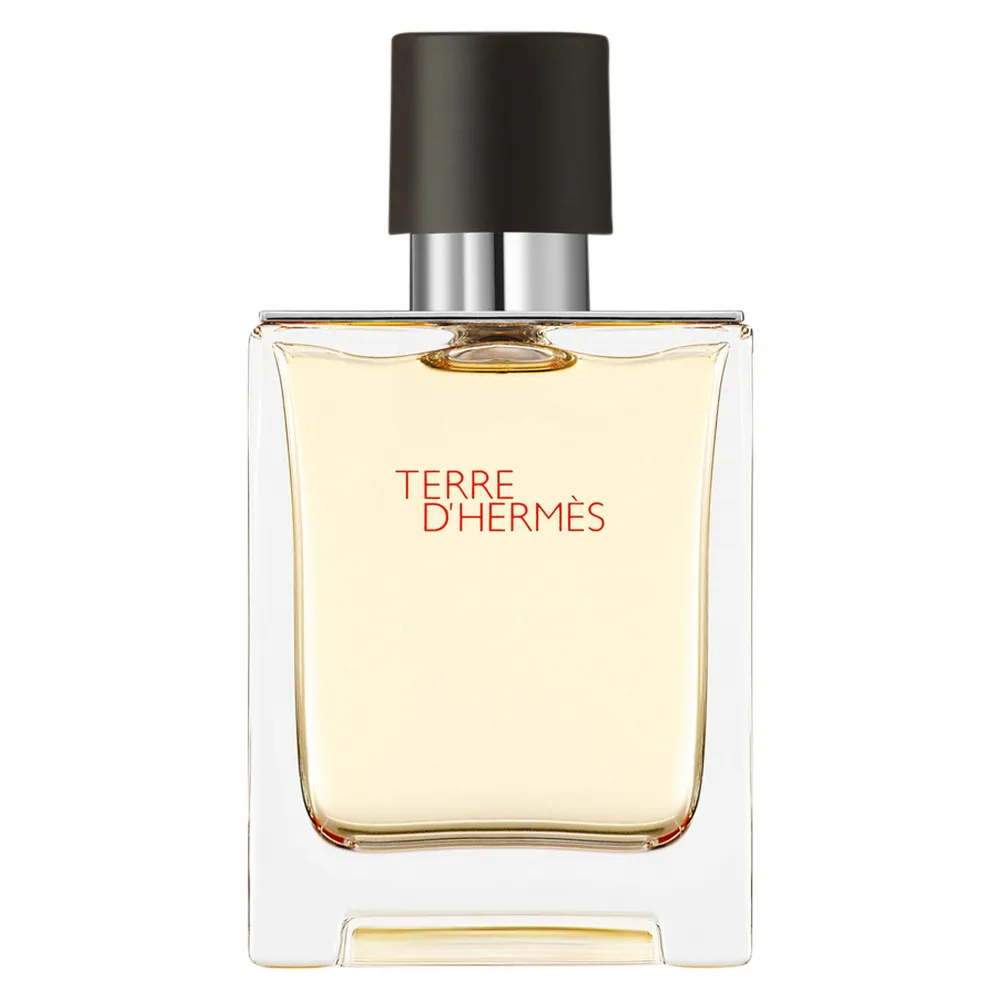 Terre d'Hermes toaletná voda pre mužov 50 ml