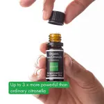 Incognito Citronelový esenciálny olej BIO (10 ml) - nevonia ťažkým hmyzom