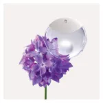 A Drop d'Issey parfumovaná voda 50 ml pre ženy