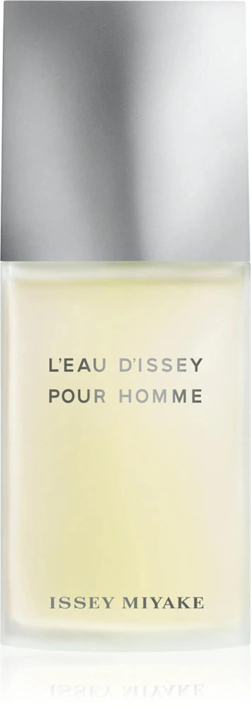 L'Eau D'Issey Pour Homme toaletná voda pre mužov 125 ml