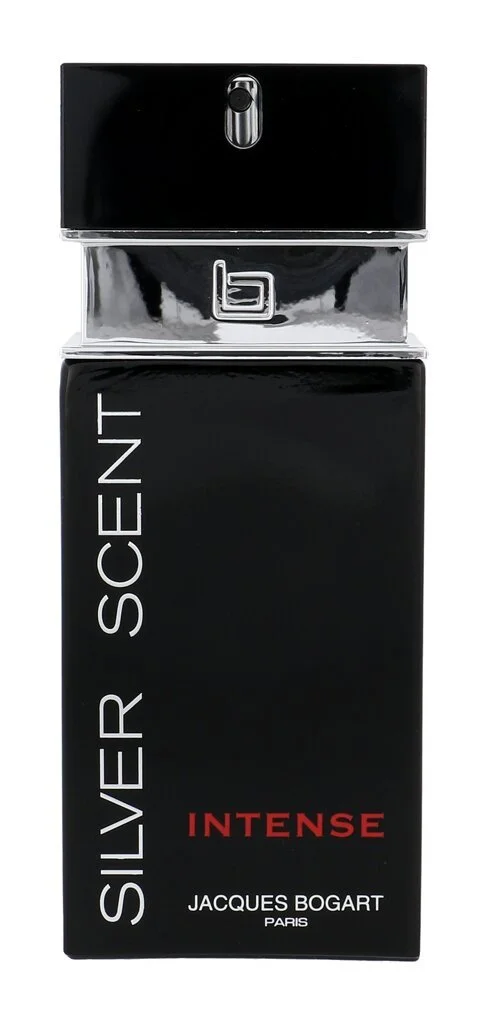 Silver Scent Intense toaletná voda pre mužov 100 ml