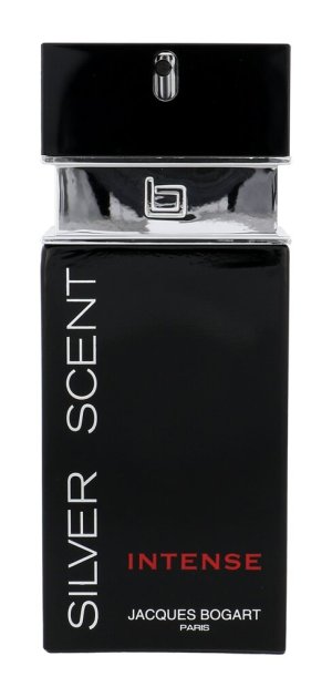 Silver Scent Intense toaletná voda pre mužov
