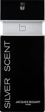 Silver Scent toaletná voda pre mužov 100 ml