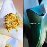 Jardins de Bagatelle toaletná voda pre ženy 75 ml