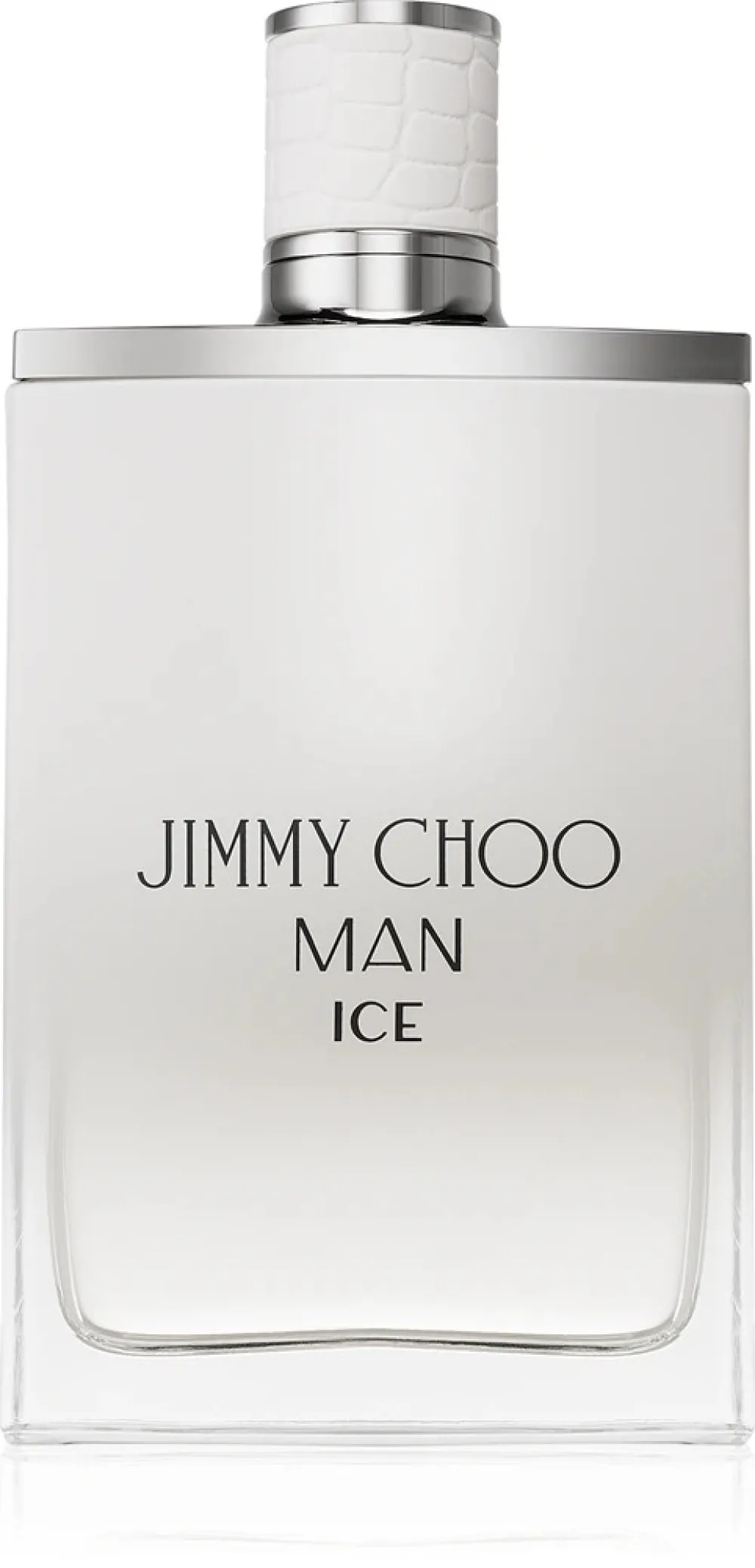 Man Ice toaletná voda pre mužov 100 ml