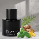 Black For Men toaletná voda pre mužov 100 ml