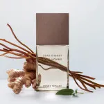 L'Eau d'Issey Pour Homme Vétiver Intense toaletná voda pre mužov 100 ml