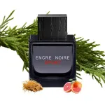 Encre Noire Sport toaletná voda pre mužov 100 ml