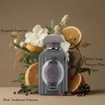 Ra'ed Intensely parfumovaná voda unisex 100 ml