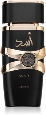 Asad parfumovaná voda pre mužov 100 ml