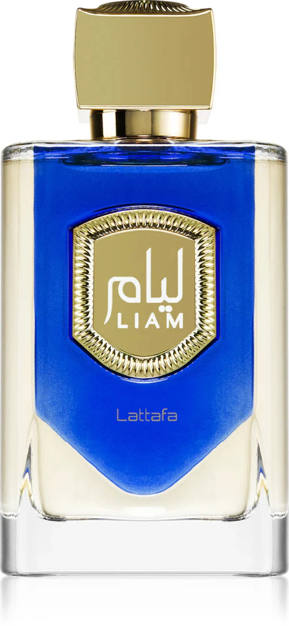 Liam Blue Shine parfumovaná voda unisex 100 ml