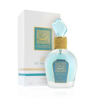 Lattafa Tameen Collection Musk Sou Poudrée parfumovaná voda unisex 100 ml