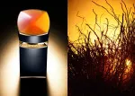 Le Gemme Ambero parfumovaná voda pre mužov 100 ml