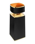 Le Gemme Ambero parfumovaná voda pre mužov 100 ml