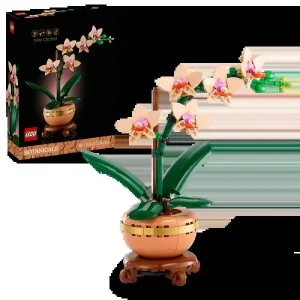 LEGO® Botanicals 10343 Miniatúrna orchidea