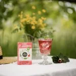 LEROS Bylinná zmes Bucco Cold Brew - nálevové vrecká (20 x 1,5 g) - na prípravu ľadového čaju