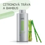 Šampón pre pôsobivý objem 250 ml