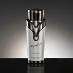 Magnificent Pour Homme parfumovaná voda pre mužov 100 ml