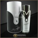 Magnificent Pour Homme parfumovaná voda pre mužov 100 ml