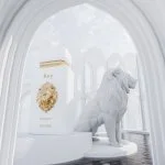 Rey U parfumovaná voda 100 ml