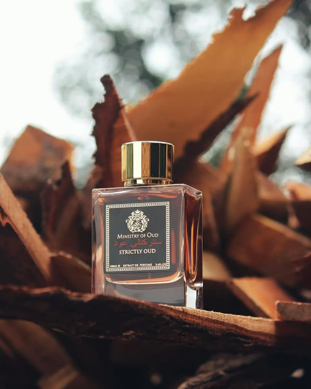 Strictly Oud parfumový extrakt unisex 100 ml