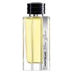 Vetiver Glacier parfumovaná voda pre mužov 125 ml