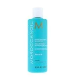Moisture Repair Shampoo regeneračný šampón 250 ml