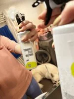 Natasha Citrónový čistič kúpeľní - sprej (500 ml) - vhodný do domácností s tvrdou vodou