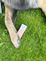 Officina Naturae Opaľovací krém na tvár SPF 50 - spevňujúci (30 ml) - pre všetky typy pleti