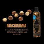 Šampón s olejovým výťažkom 400 ml