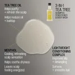 3 v 1 Tea Tree šampón-kondicionér-sprchový gél šampón pre mužov 3 v 1 pre mužov 350 ml