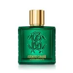 Uomo Verde Assoluto parfumovaná voda pre mužov 100 ml