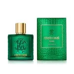 Uomo Verde Assoluto parfumovaná voda pre mužov 100 ml