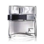 F by Ferragamo Black toaletná voda pre mužov 100 ml