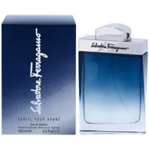 Salvatore Ferragamo Subtil Pour Homme toaletná voda pre mužov 100 ml