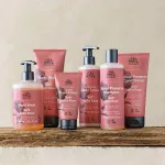 Urtekram Šampón Wild Rose 500ml BIO