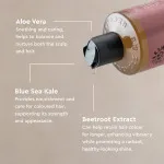 Urtekram Šampón Wild Rose 500ml BIO