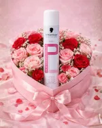 Professional Professionnelle Lacque profesionálny lak na vlasy 500 ml