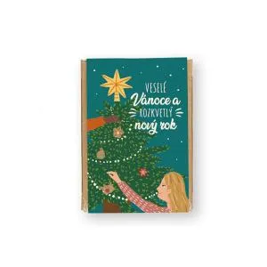 Blossombs Bomby zo semienok - darčeková minisada - Magické Vianoce (4 ks)