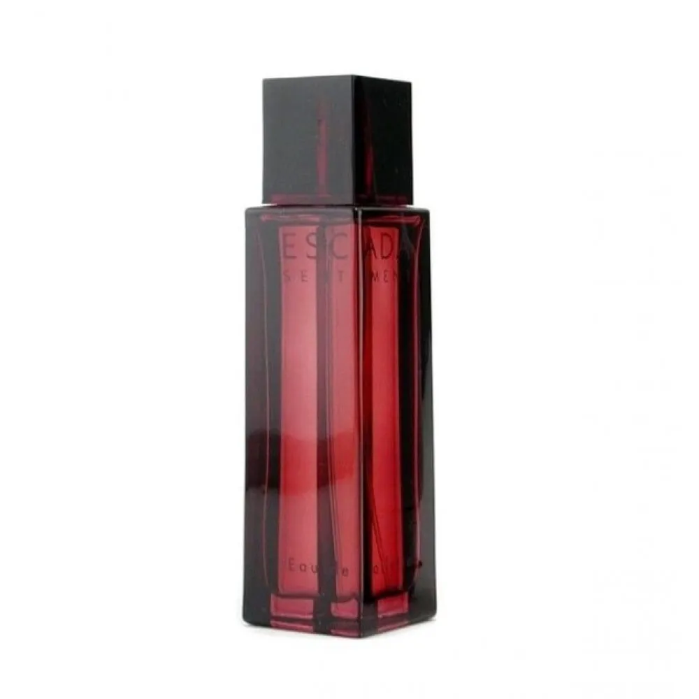 Sentiment pour Homme toaletná voda pre mužov 100 ml