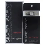 Silver Scent Intense toaletná voda pre mužov 100 ml