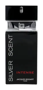 Silver Scent Intense toaletná voda pre mužov 100 ml