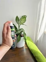 SO’BiO étic Prírodný deodorant ECO SPRAY 24h MEN - céder BIO (100 ml) - účinný až 24 hodín