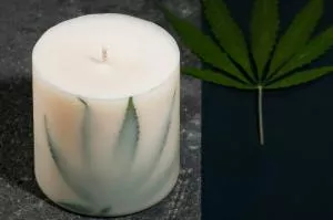 TL Candles Sójová sviečka s vôňou šalvie XL
